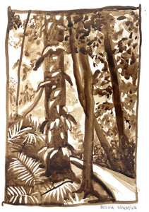 Rainforest drawing painted in sepia brown ink on A3 paper