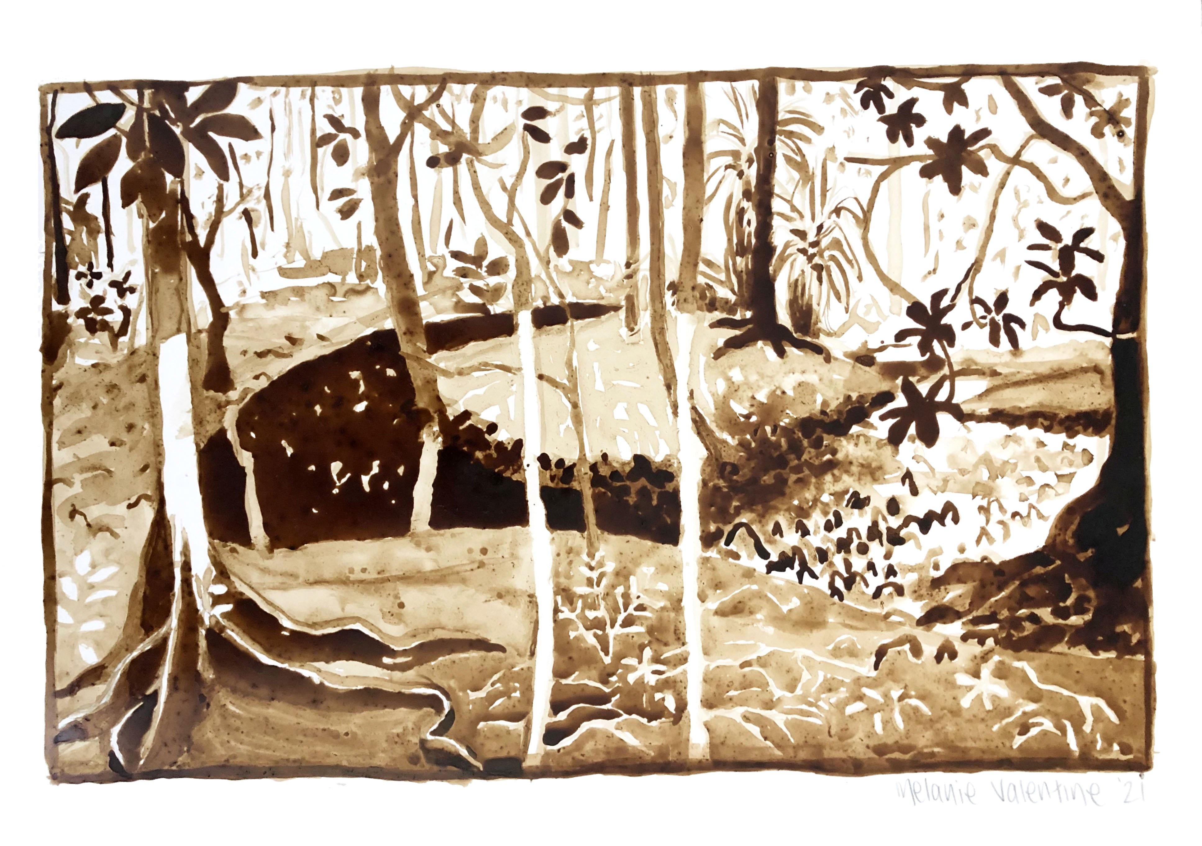 Rainforest drawing painted in sepia brown ink on A3 paper