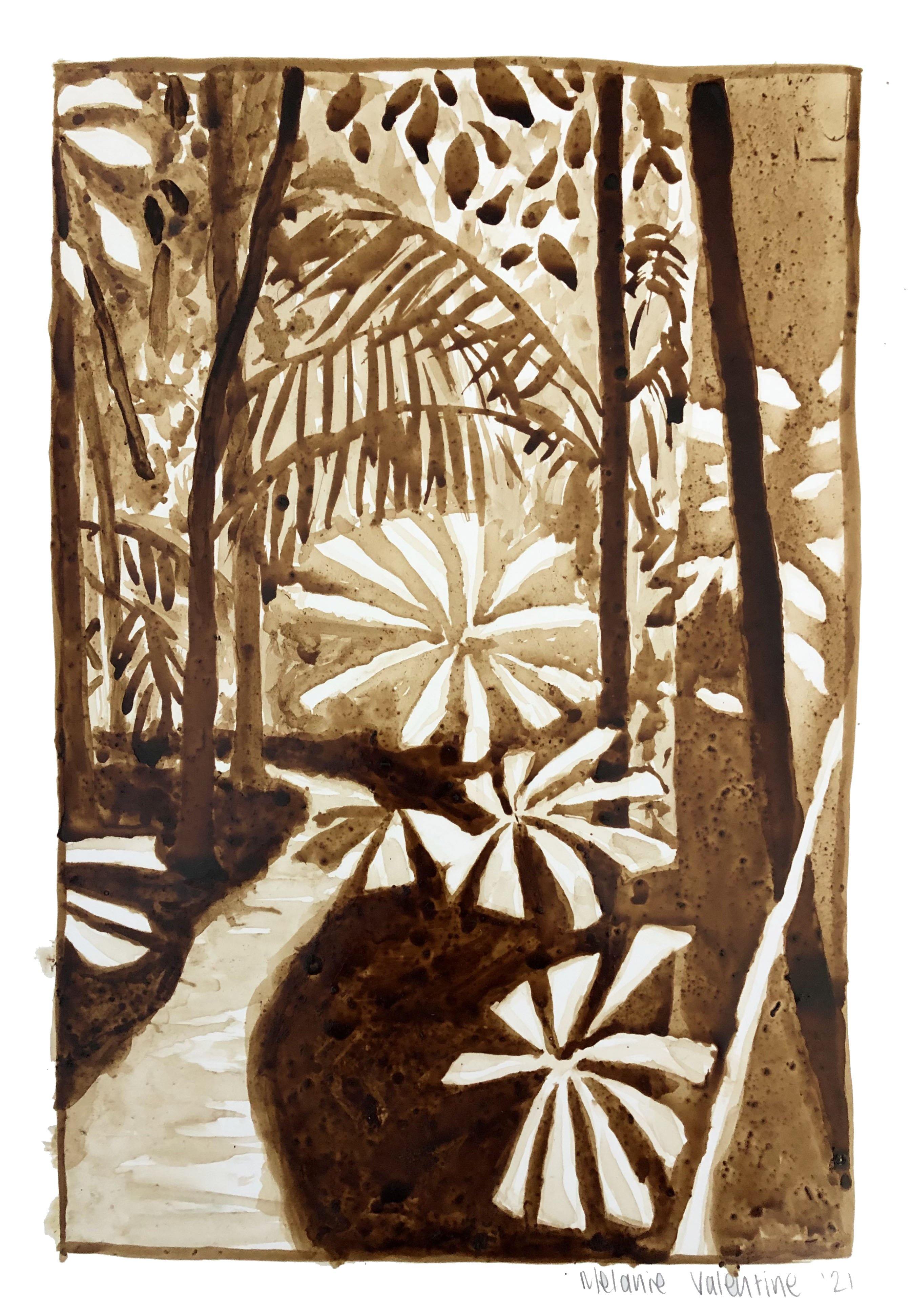 Rainforest drawing painted in sepia brown ink on A3 paper